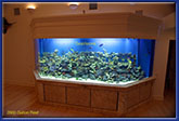Рифовый аквариум 7560л
