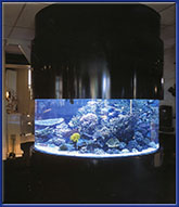 Цилиндрический аквариум