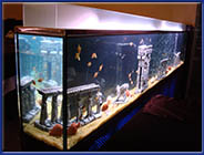 классический аквариум из силикатного стекла